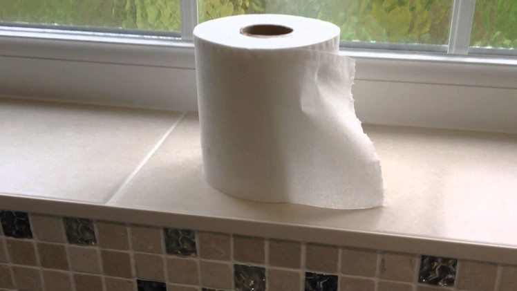 Toilet Roll Changing - Teenage Instructional Video #1