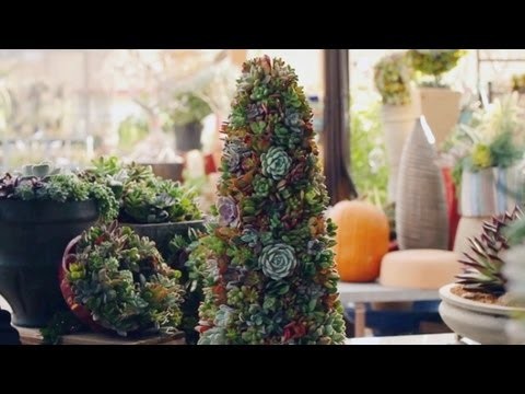 How to Create Succulent Objects And Christmas Trees