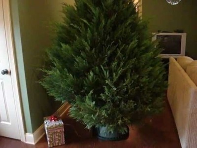 How To Make A Christmas Tree Watering Device