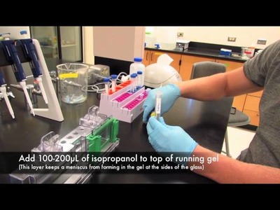 How to make an acrylamide gel for electrophoresis