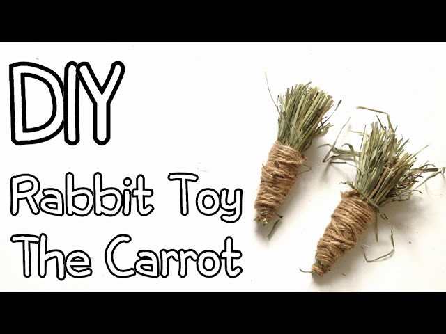 How To Make Homemade Rabbit Toy The Carrot DIY