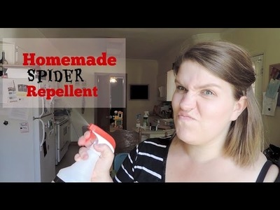How to make spider repellent using peppermint oil