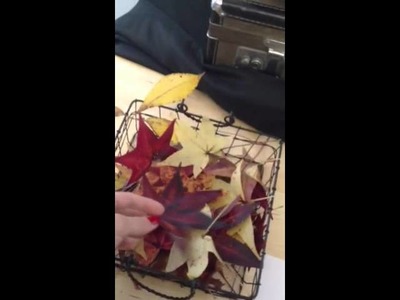 Preserving fall leaves with common kitchen wax paper