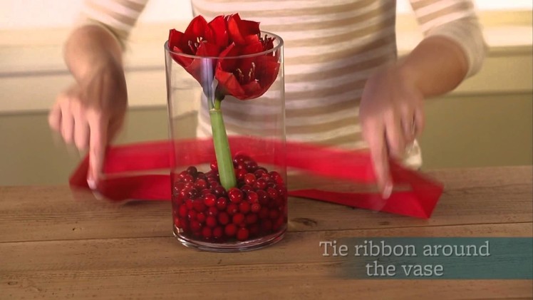 Fresh Christmas Centerpiece Ideas with Cranberries and Ribbon
