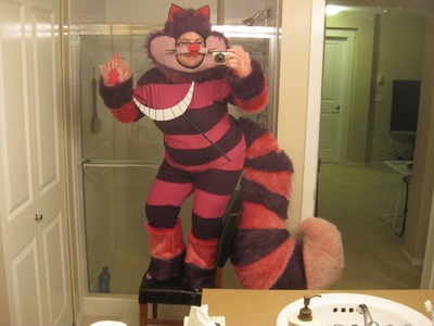 Cheshire Cat Costume