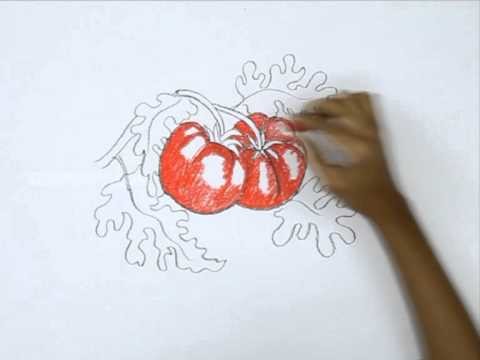 How to Draw a Tomatos