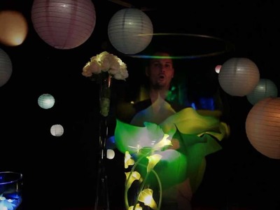 Buttonlites (Button lights) - Small Battery LED lights for lighting paper lanterns and flowers