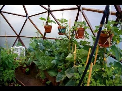 A Do-It-Yourself GeoDome Greenhouse