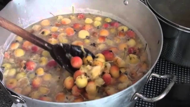 How to make crab apple jelly