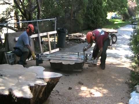 Cutting a 200 year old oak tree into slabs with a 6 foot chainsaw sawmill