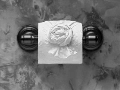 Make More Money as a Housekeeper with Toilet Paper Origami