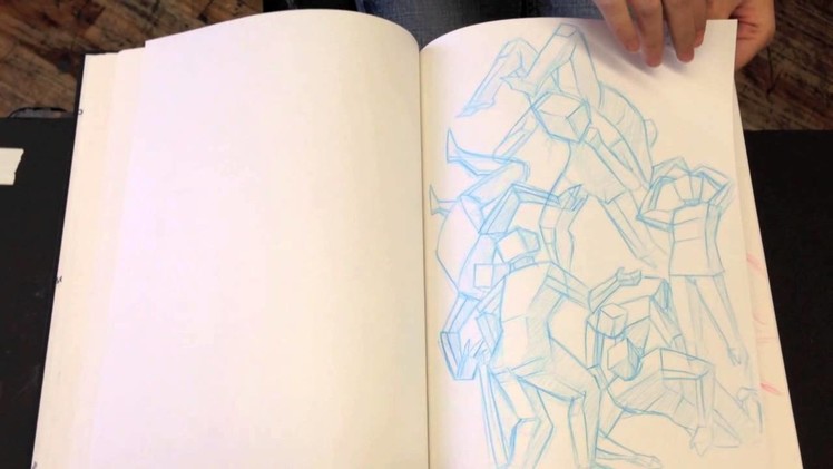 Annie's Sketchbook Animation & Anatomy