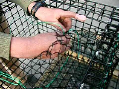 How to Build a Lobster Trap: 15 Rigging the Parlour