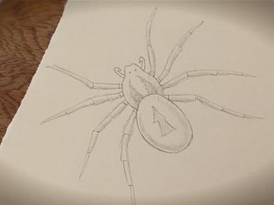 How To Make A Spider Drawing