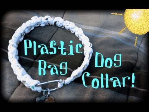 Plastic bag dog collar (quick tutorial)