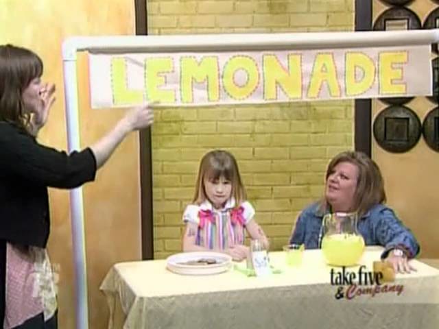 CraftSanity on TV: How to make your own lemonade stand