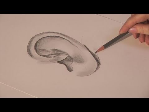 How To Learn Drawing An Ear