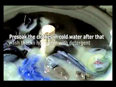 How to remove mold from clothes