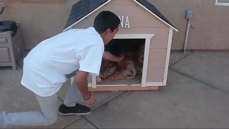 How to build a large Dog House.