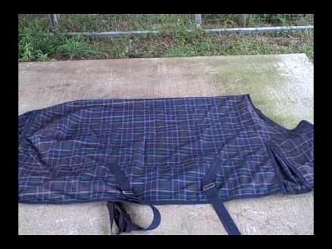 Horse Blanket 101: all about horse blanketing