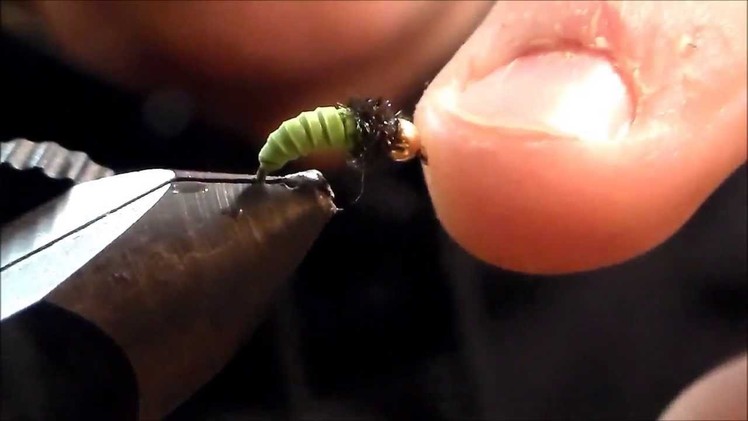 Fly Tying: Rubber Band Caddis Larvae