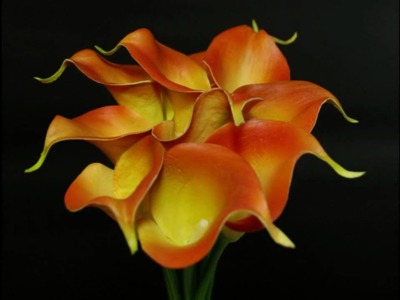 Real Touch Flowers. What Are They?