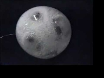 Seltzer tablet in water bubble in zero-gravity