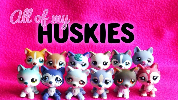 All of My LPS Huskies!