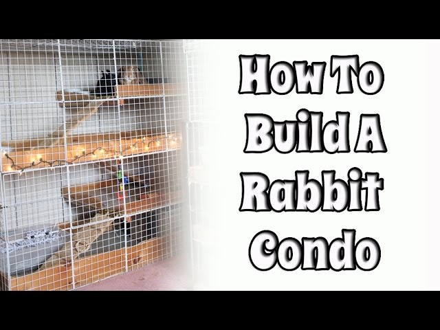 BudgetBunny: How To Build Your Own NIC Rabbit Condo