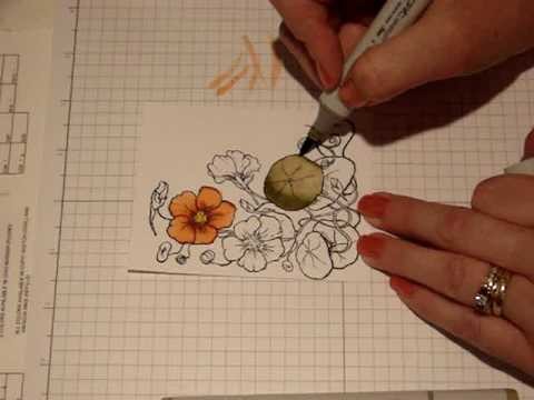 Copic Coloring Basics with Cindy Lawrence
