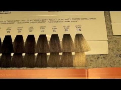 COSMETOLOGY: HAIRCOLORING 3: COLOR LEVELS AND TONES