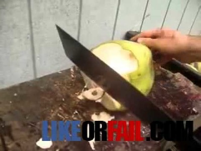 How To Cut a Coconut Like A Boss!