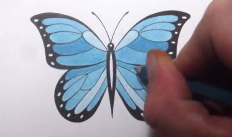 How To Draw a Butterfly