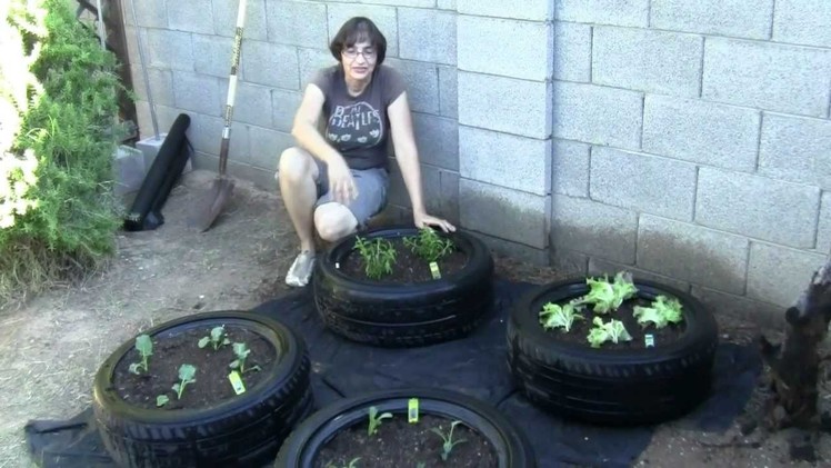 How to Make a Tire Garden