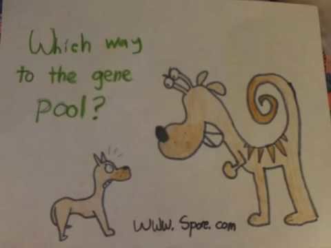 Spore: Homemade Posters!