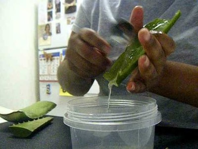 14| How to make aloe gel from leaf pt. 2.2 PLUS Ramblings :)