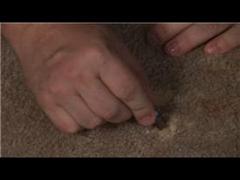 Carpet Cleaning : Household Tips for Removal of Bleach Stains from a Carpet