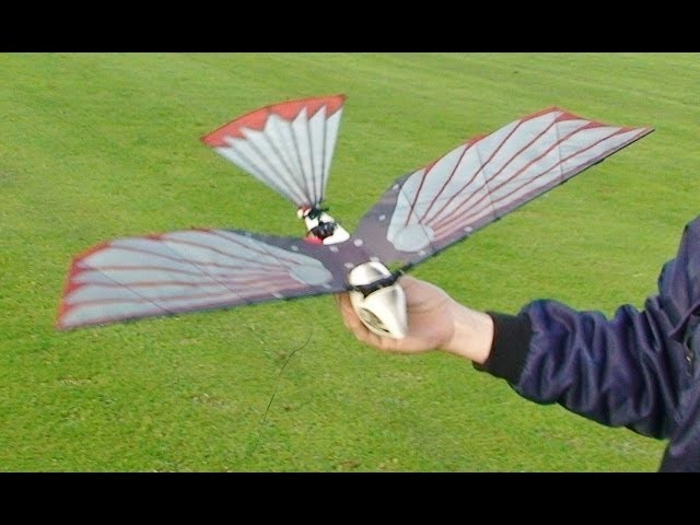 CYBIRD - ORNITHOPTOR - RC ROBOT BIRD AT HDMFC