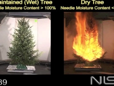 Christmas Tree Fire -  Hazards of a Dry Tree