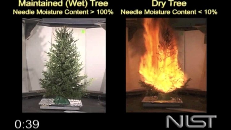 Christmas Tree Fire -  Hazards of a Dry Tree