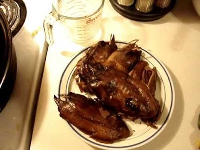 Eating Cooked Turr. Common Murre.  Newfoundland, Recipe