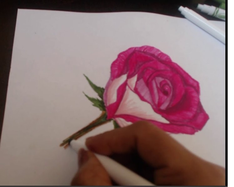 How to draw a rose on paper with color pens ( sorry no music)
