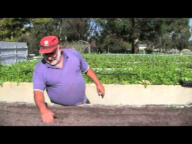 How to Make a Living Farming a Quarter Acre