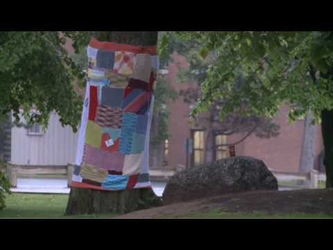 Public Tree Yarn Wrap