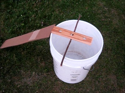 Chipmunk. rodent bucket trap