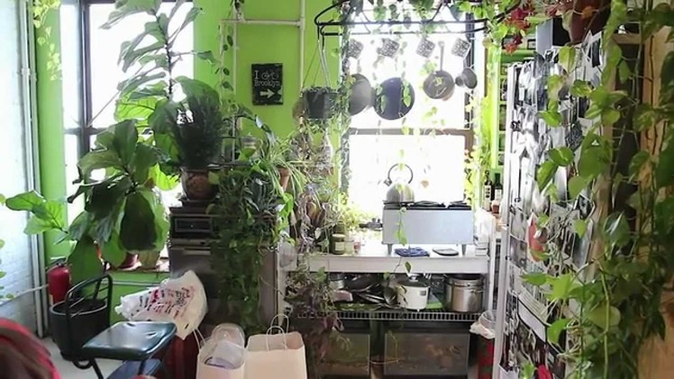 How to Green Your Home (Part 1): Build an Indoor Vertical Garden