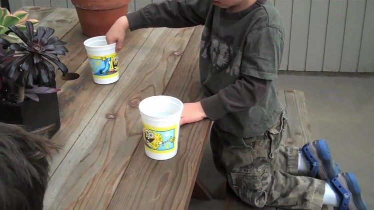 Rain Catchers — a kids' activity that is free, fun, and easy!