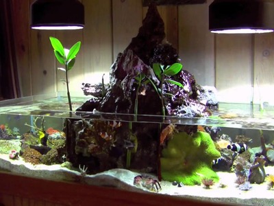 Volcano Tank 032610