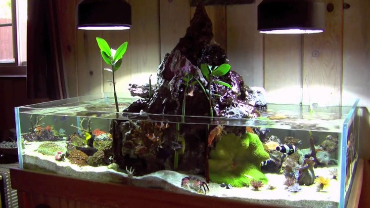 Volcano Tank 032610