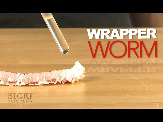 Wrapper Worm - Sick Science! #175